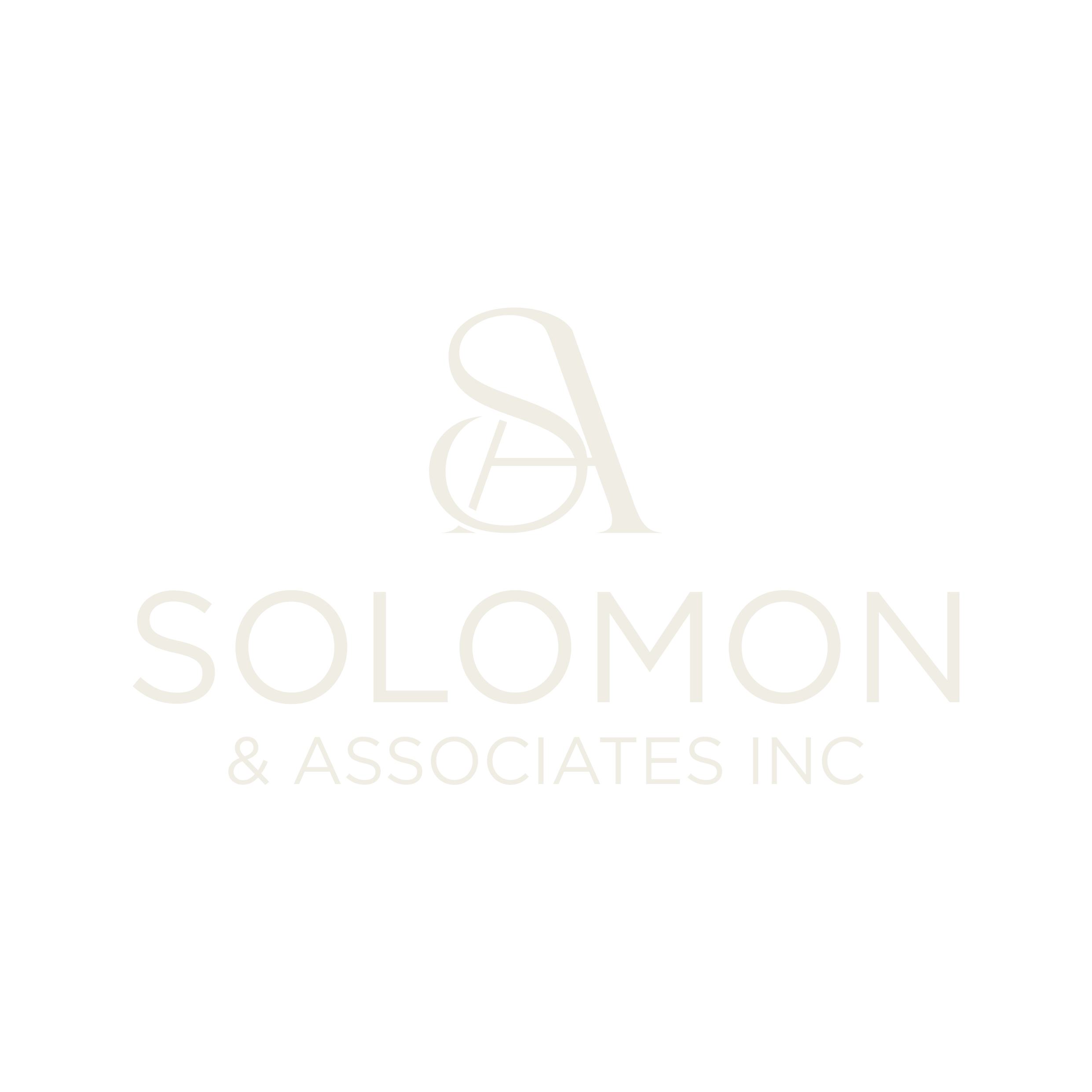 Solomon & Associates Inc.